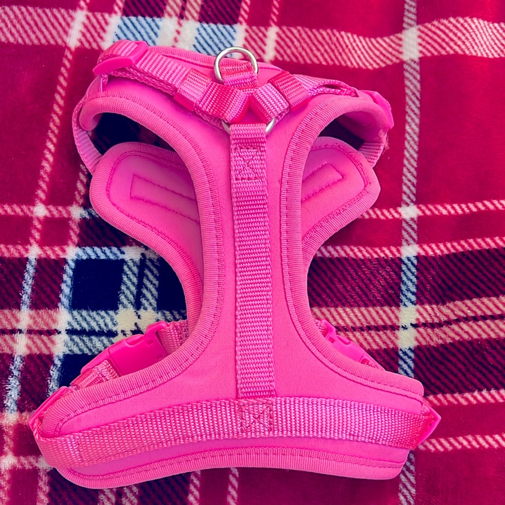 Harness Small size